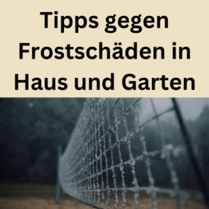 Tipps gegen Frostschäden in Haus und Garten