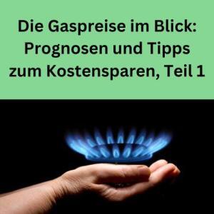 Die Gaspreise im Blick Prognosen und Tipps zum Kostensparen, Teil 1